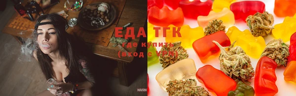 тгк Армянск
