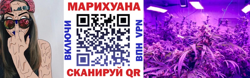 Шишки марихуана планчик Сурск